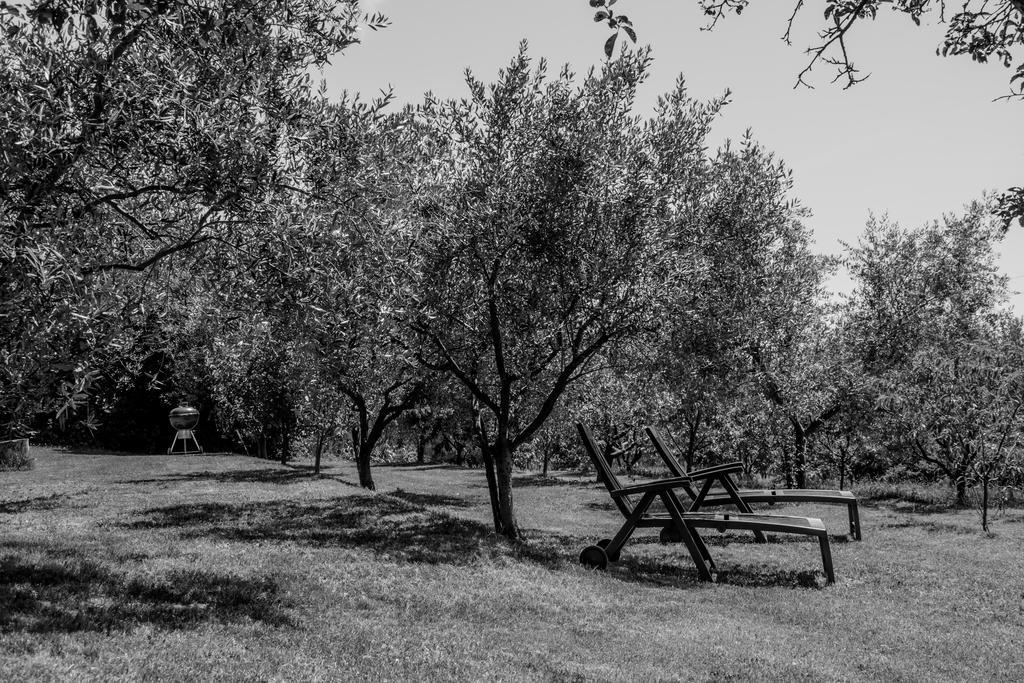Terra Del Carso Villa San Pelagio Kültér fotó