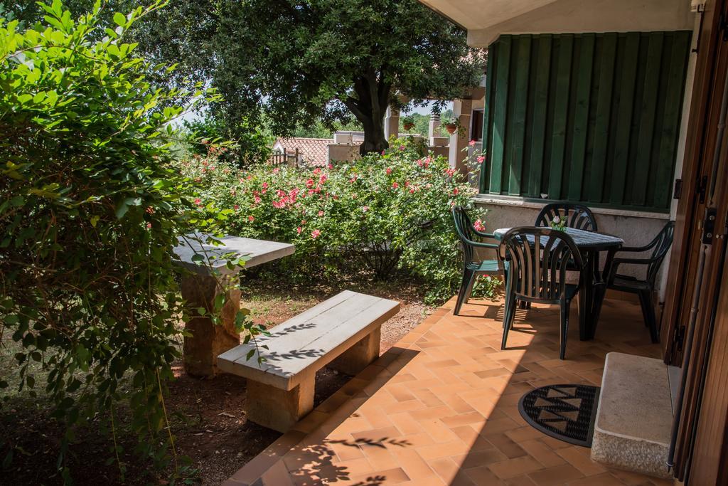Terra Del Carso Villa San Pelagio Kültér fotó