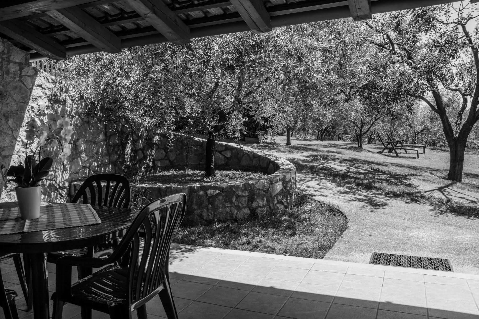 Terra Del Carso Villa San Pelagio Kültér fotó
